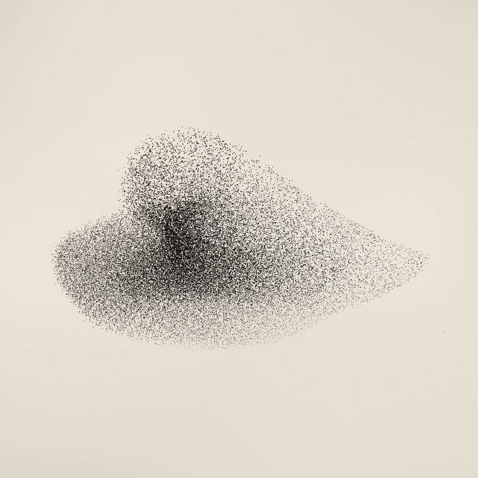 Community Solkaer Birds I7 R6901